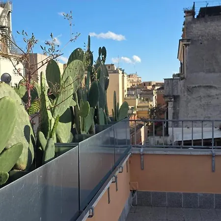 Casa A Monti